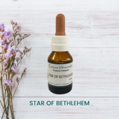 Star of Bethlehem 20ml