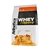 WHEY FLAVOUR 850G na internet