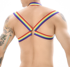 Arnés New Pride - comprar online