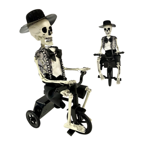 Esqueleto En Bicicleta
