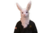 Mascara Conejo Halloween Premium