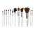 Professional Set of 12 Brushes