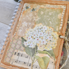 Journal "Hortensia"