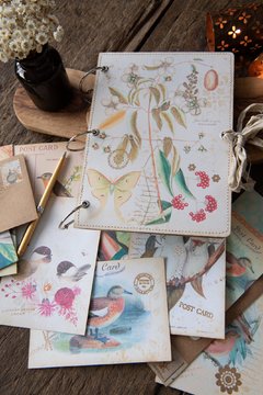 JOURNAL BOTANICAL "Mariposa y frutos"