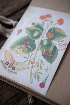 JOURNAL BOTANICAL "Mariposa y frutos" - The Artmaking Company