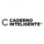 Caderno Inteligente Medio By Alexity R.CIMD3108 Novitate - loja online