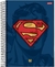 CADERNO 1X1 CD DC COMICS 96FLS JANDAIA na internet