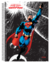 CADERNO 1X1 CAPA DURA SUPERMAN 96FLS SD - comprar online
