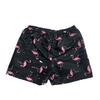 Shorts Infantil Flamingo Preto