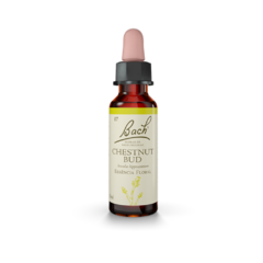 Floral Bach Original Chestnut Bud 10ml