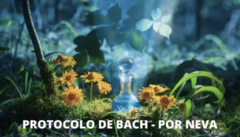 Protocolo de Bach Por Rafael ( Neva/Gabriel RL)