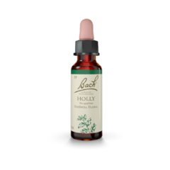 Floral Bach Original Holly 10ml