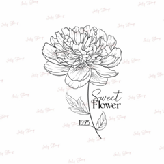 J361 - Sweet flower