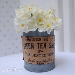 C025 - Green Tea - tienda online