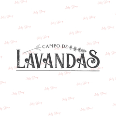 J319 - Campo de lavandas