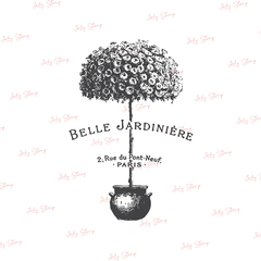 V604 - Belle Jardiniere