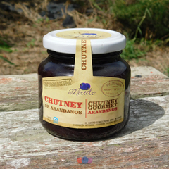 CHUTNEY DE ARÁNDANOS - comprar online