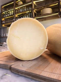 Provolone - comprar online