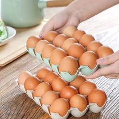 Organizador Bandeja Porta Ovos Em Plástico Para 15 Ovos