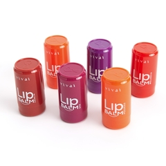 Kit 6 Lip Balm Hidratante Labial Latinha Frutas Vivai na internet