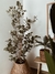 Planta Eucaliptus - 1,80m - comprar online