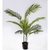 Planta Areca Palm - 0,80m - tienda online