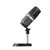 Microfone Cardióide Avermedia Godwit 310 Usb - AM310 na internet