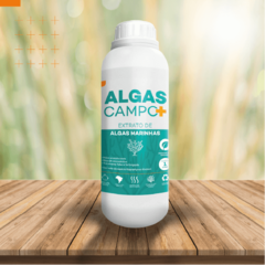 ALGAS CAMPO+ EXTRATO DE ALGAS MARINHAS