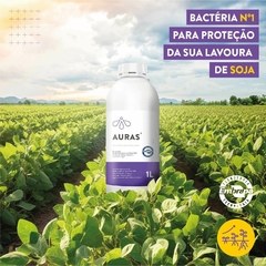 Auras Campo 1L - Bactéria Embrapa - Campo Online | Produtos para agricultura e pecuária