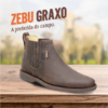 BOTINA ZEBU GRAXO