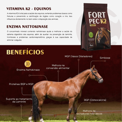 FORT PEC K2 - EQUINOS 4 KG - comprar online