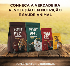 FORT PEC K2 - EQUINOS 4 KG - comprar online