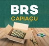 200 GEMAS DE BRS CAPIAÇU PARA PRODUÇÃO DE MUDAS E FOLDER DA EMBRAPA (PRODUTO ORIGINAL) - comprar online