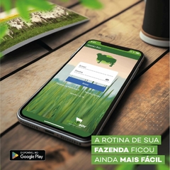 APLICATIVO GESTÃOBOV (GERENCIAMENTO DE BOVINOS) - Campo Online | Produtos para agricultura e pecuária