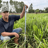 RÉGUA PARA MANEJO DE PASTAGENS CAMPO ONLINE