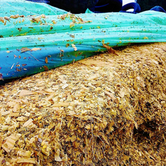 Silage Seal 10x50m na internet