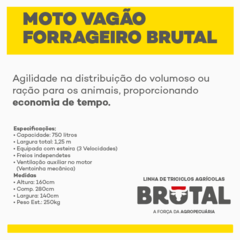 MOTO VAGÃO FORRAGEIRO BRUTAL - TRICICLOS BRUTAL DIRETO DA FÁBRICA na internet