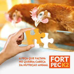 FORT PEC K2 - AVES 2 KG - Campo Online | Produtos para agricultura e pecuária