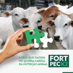 FORT PEC K2 - BEZERROS 4 KG - Campo Online | Produtos para agricultura e pecuária