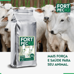 FORT PEC K2 - BEZERROS 4 KG - loja online