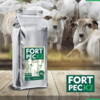 FORT PEC K2 - BEZERROS 4 KG - comprar online