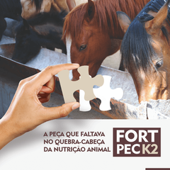 FORT PEC K2 - EQUINOS 4 KG - Campo Online | Produtos para agricultura e pecuária