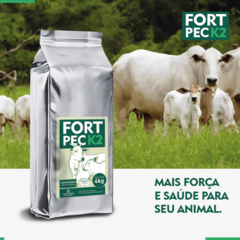 FORT PEC K2 - BOVINOS, ENGORDA E REPRODUÇÃO 4 KG - Campo Online | Produtos para agricultura e pecuária