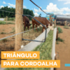 Suporte Triângulo para Cordoalha Pescoceira de Confinamento (Unidade)