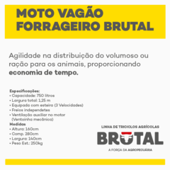 Imagem do MOTO VAGÃO FORRAGEIRO BRUTAL - TRICICLOS BRUTAL DIRETO DA FÁBRICA