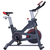 Indoor Bike Bicicleta Profesional Disco 10kg Correa