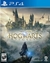 Hogwarts Legacy PS4 & PS5 DIGITAL - MegaplayDigital