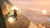 Imagen de Assassin's Creed Origins PS4 DIGITAL