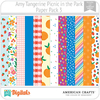 Picnic In The Park Amy Tangerine PP3 American Crafts