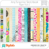 Sketchbook Amy Tangerine PP2 American Crafts